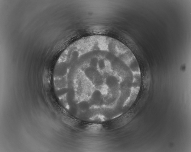 X0000114550374200911301230