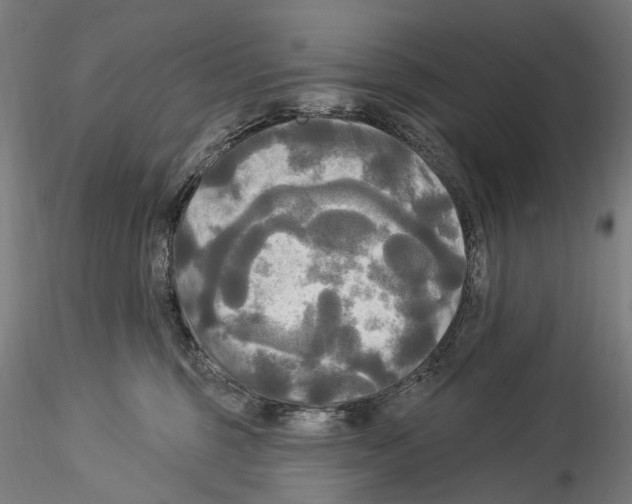 X0000114550375200911301230