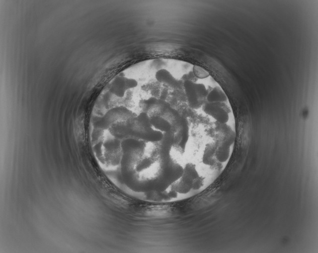 X0000114550377200911301230