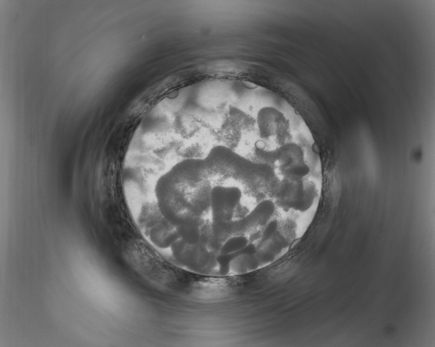 X0000114550381200911301230