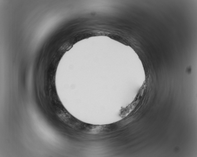 X0000114550382200911301230