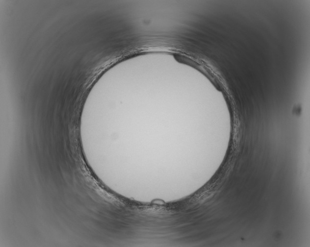 X0000114550385200911301229