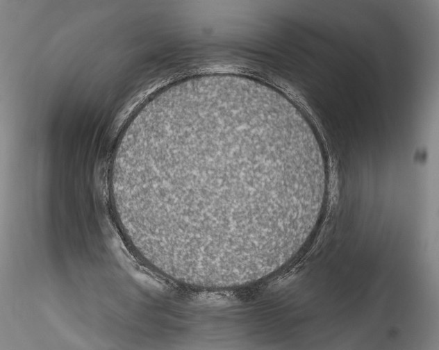X0000114550386200911301229