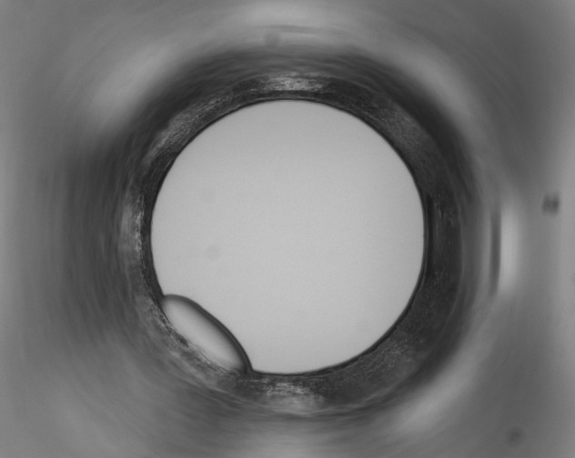 X0000114550387200911301229