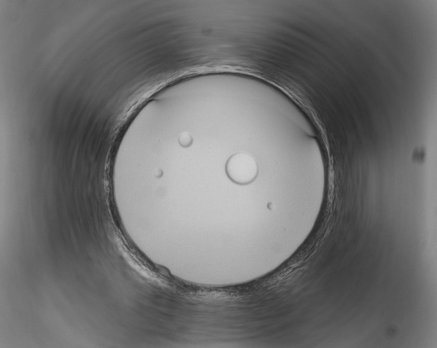 X0000114550389200911301229