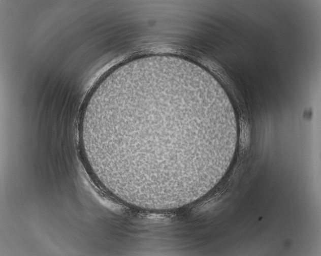 X0000114550390200911301229