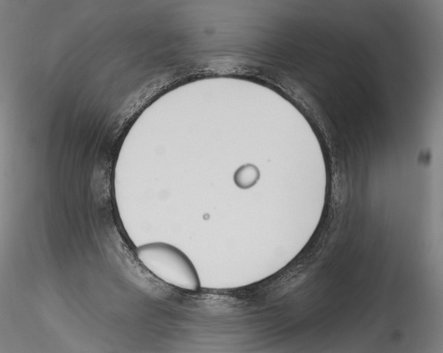 X0000114550393200911301229