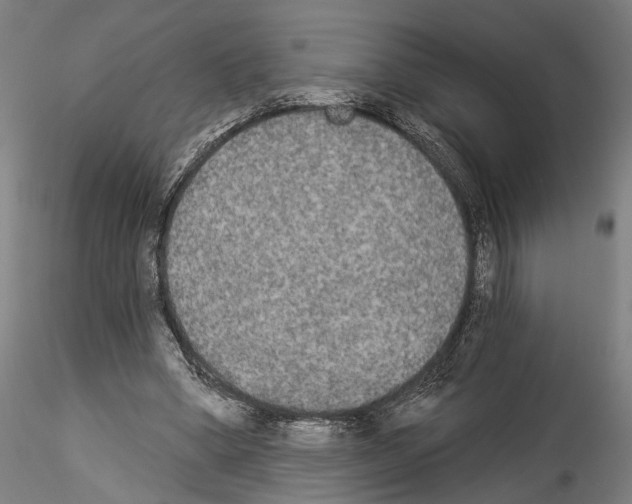 X0000114550394200911301229
