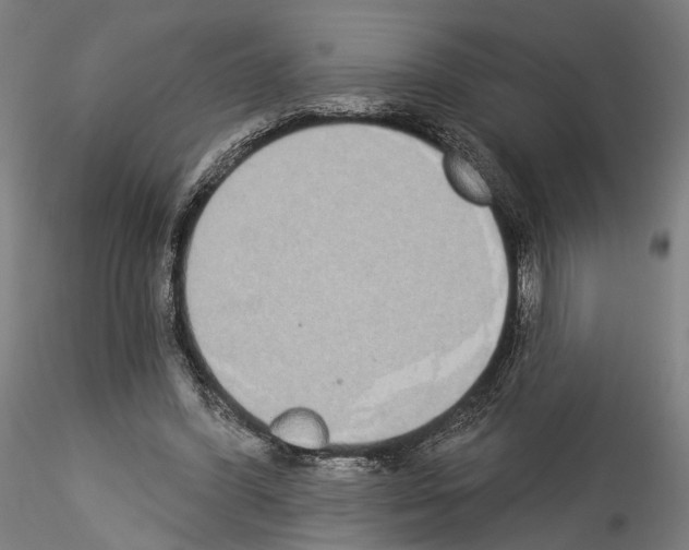X0000114550396200911301229