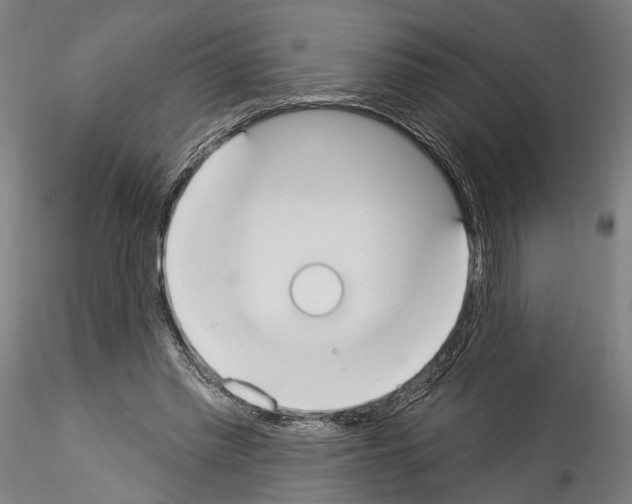 X0000114550397200911301229