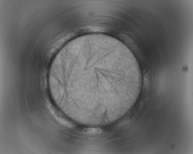 X0000114550398200911301229