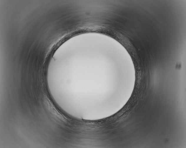 X0000114550399200911301229