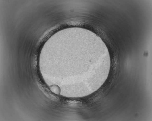 X0000114550400200911301229