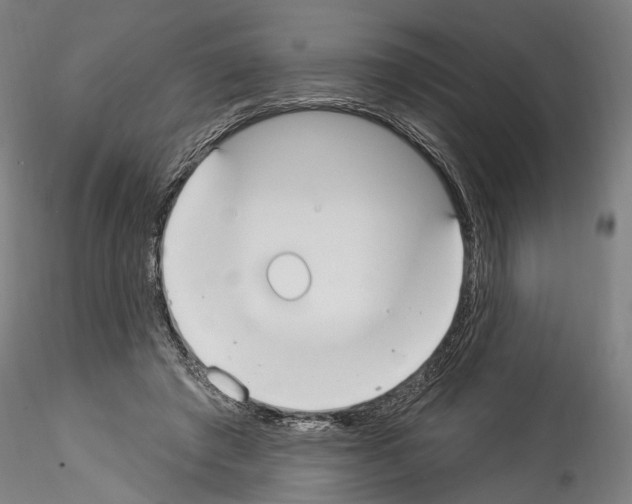 X0000114550401200911301229