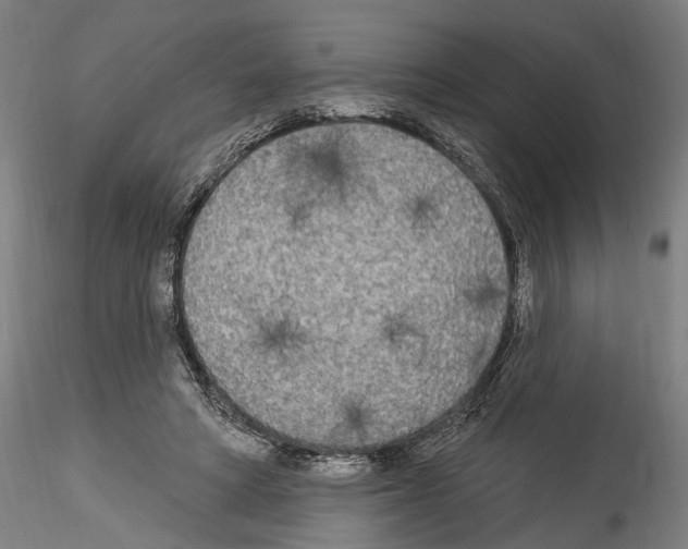 X0000114550402200911301229