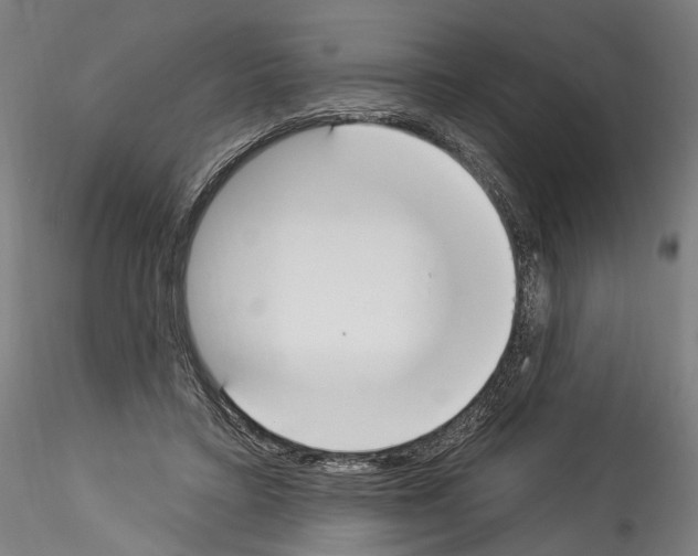 X0000114550403200911301229