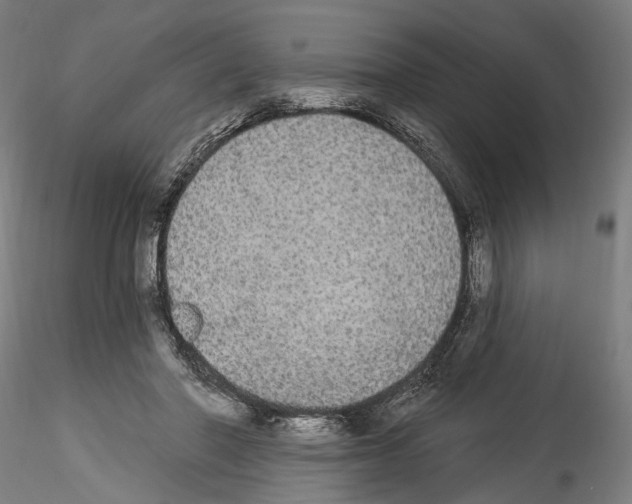 X0000114550406200911301229