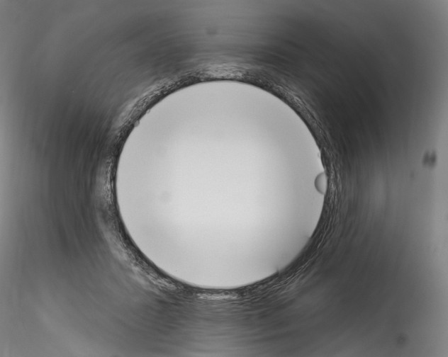 X0000114550407200911301229