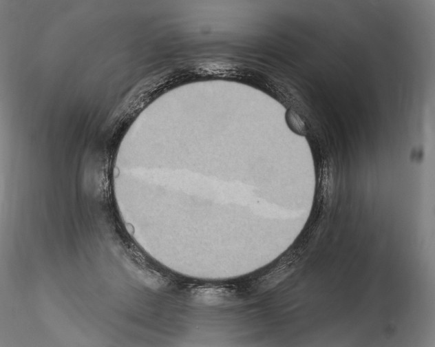 X0000114550408200911301229