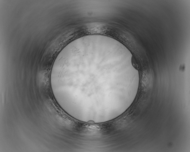 X0000114550409200911301229