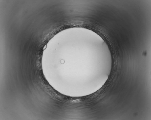 X0000114550411200911301229