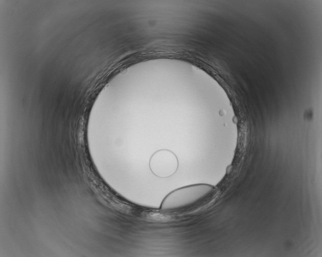 X0000114550413200911301229