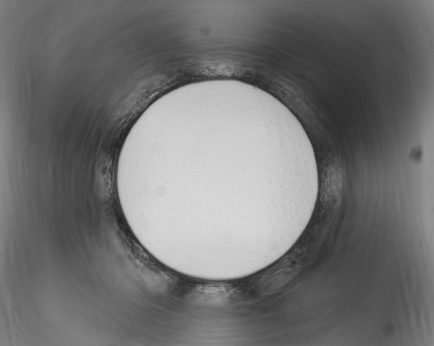 X0000114550414200911301229