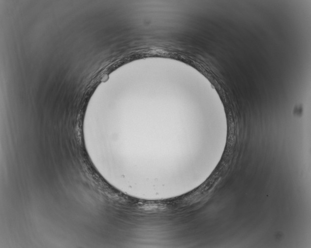 X0000114550415200911301229