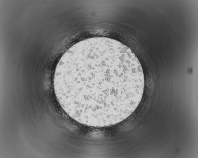 X0000114550416200911301229