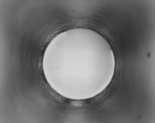 X0000114550417200911301229