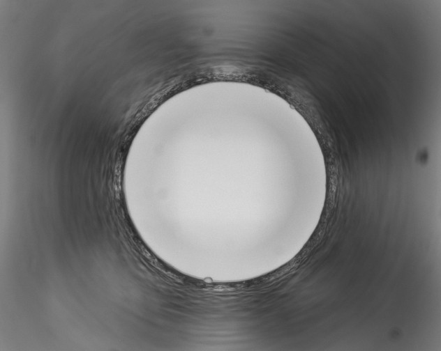 X0000114550419200911301229