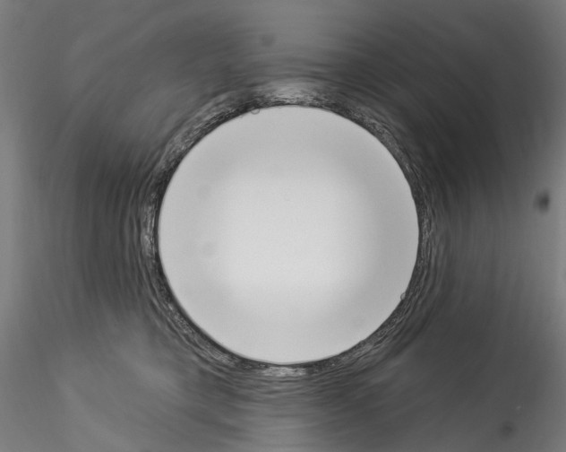 X0000114550421200911301229