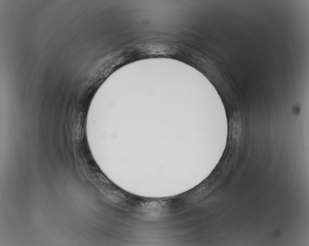 X0000114550422200911301229