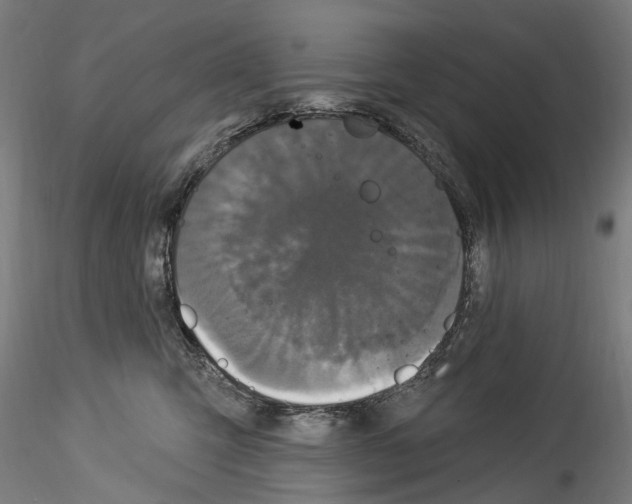 X0000114550423200911301229