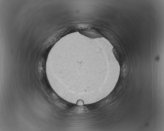 X0000114550424200911301229