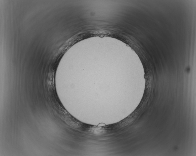 X0000114550425200911301229