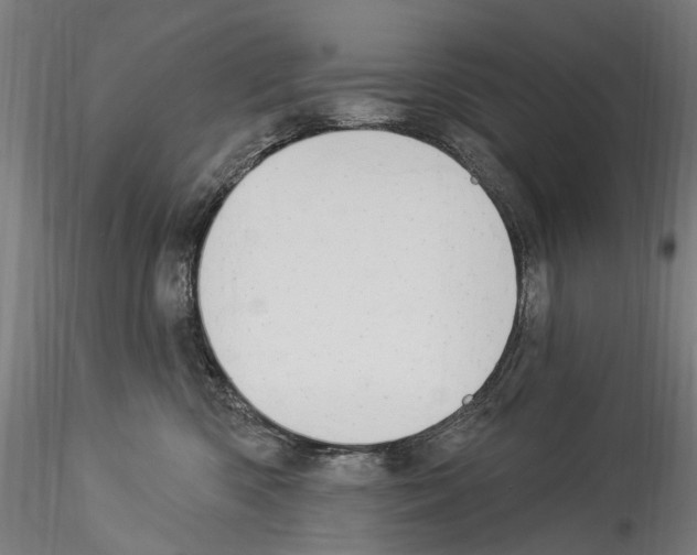 X0000114550426200911301229
