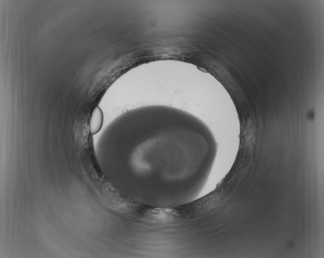 X0000114550427200911301229