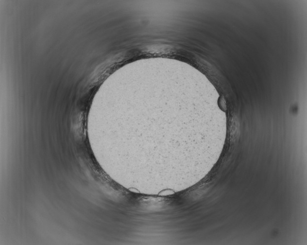 X0000114550428200911301229