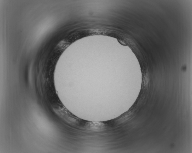 X0000114550429200911301229