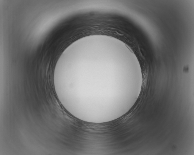 X0000114550431200911301229