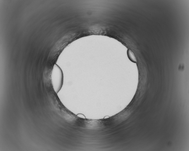 X0000114550432200911301229