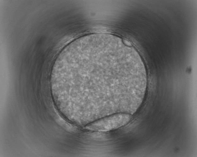 X0000114550433200911301228