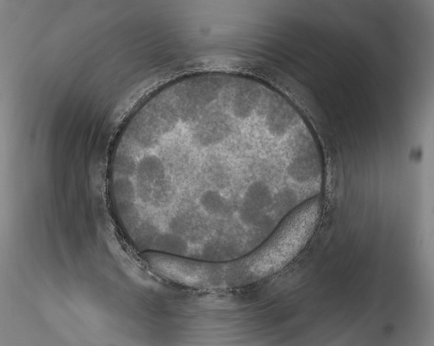 X0000114550434200911301228