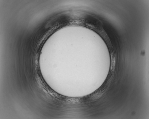 X0000114550435200911301228