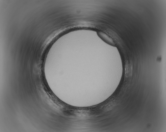 X0000114550436200911301228