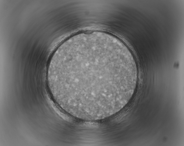 X0000114550437200911301228