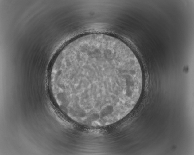 X0000114550439200911301228