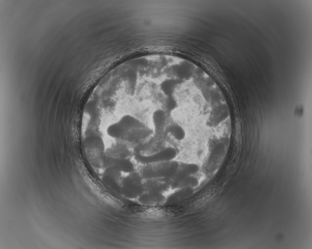 X0000114550441200911301228