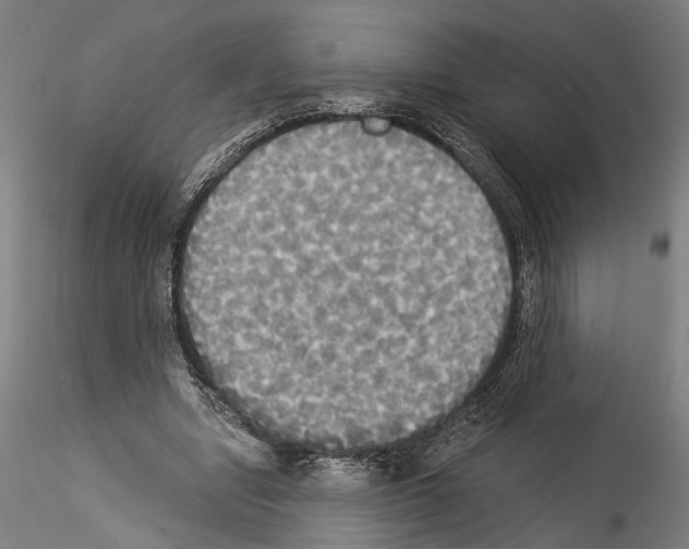X0000114550442200911301228
